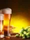 Degustation de Biere